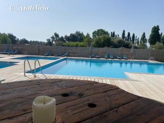 logement piscine Porto Vecchio U Mateliciu - 9