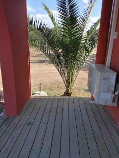 logement piscine Porto Vecchio U Mateliciu - 2