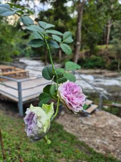 Bankhamkee Homestay - 3