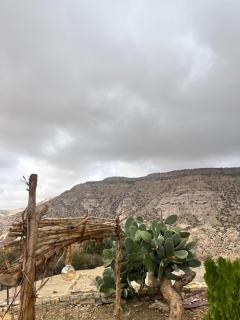 Dana horizon hotel - 5