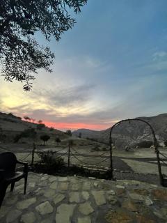 Dana horizon hotel - 8