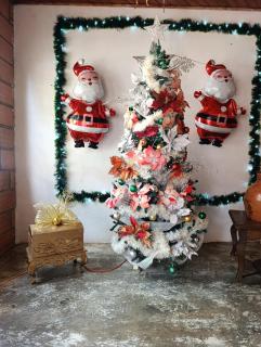 Hostal VILLA JULIANA - 6