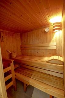 Apartment Dachsteinblick Abtenau - 9