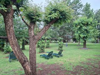 Airport Bird & Game Lodge - 1