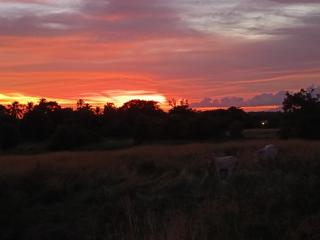 Belle maison créole - 8