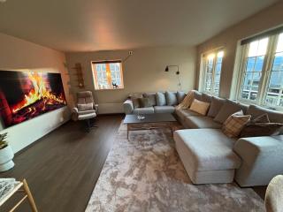 Røldal ski in ski out - 0