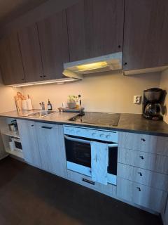 Røldal ski in ski out - 7