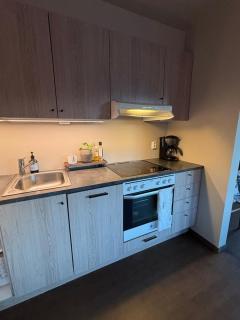 Røldal ski in ski out - 2