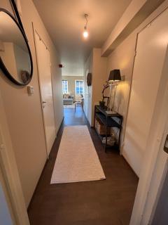 Røldal ski in ski out - 4