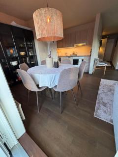 Røldal ski in ski out - Håra - 8