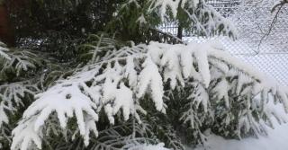 Appartement de 45 m2 - 6