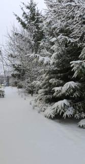 Appartement de 45 m2 - 1