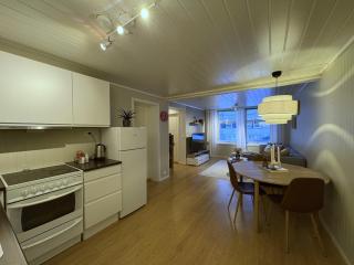 Modern 2 bedroom apartment in the heart of Tromsø - 3