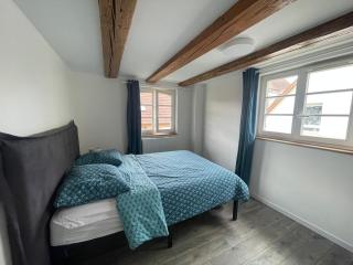 Cottage A day in Strasbourg - Straßburg - 7