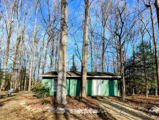 Little House in the Woods - 7