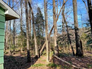 Little House in the Woods - 5