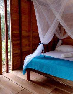 Manglar Eco Resort - 2