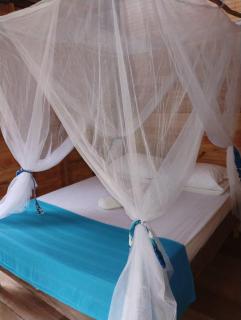 Manglar Eco Resort - 8