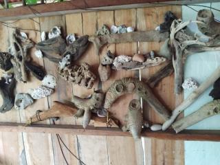 Posada Nativa sol y mar - 6