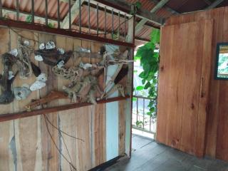 Posada Nativa sol y mar - 7