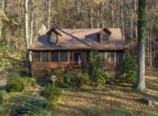 The Mountain Forager Cabin, Bryson City NC - 0