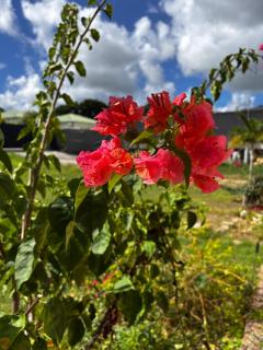 Propriété de Damencourt - la baie - 9