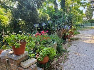 Villa Carla - vicino alla Riviera del Conero e ai Colli dell' Infinito - 4