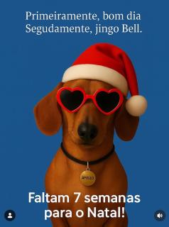 Casinha central Manhuaçu - 8