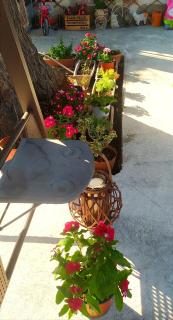 Mareliva Retreat - 5