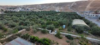 VILLA MARIA PETRA - 7