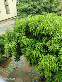 Blue Pearl Cartagena - 1