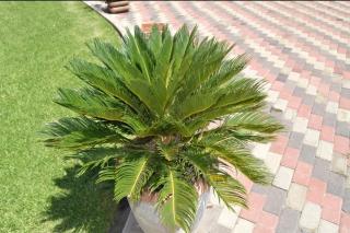 Woodmead Meadows - 7