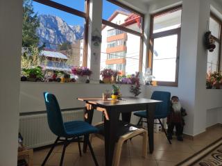 Little Bear Busteni 3 - 4