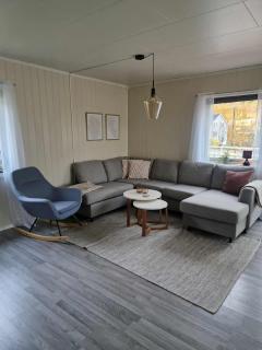 House with terrace and a big garden in centrum of Lyngseidet - 9