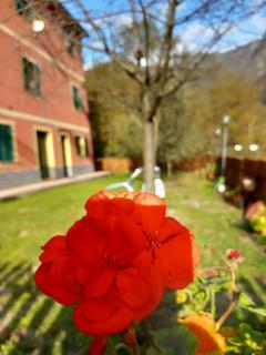 Villa Bella bed and breakfast - Favale di Malvaro - 8