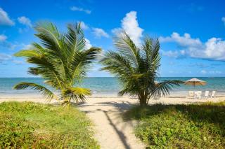 Maui Beach Residence - 6