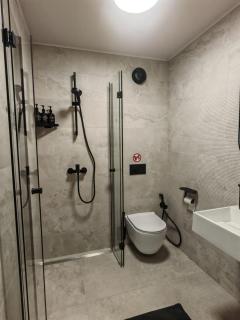 Апартамент Александровска - 1