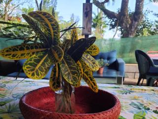 Glamping en pleine nature Rêve et Racines - 8