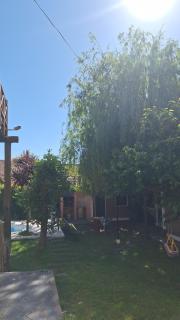 El sauce solo familia - 1