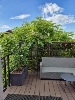 Noclegi u Alicji - 8