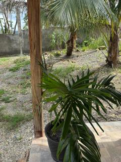 The Ridge-Coconut Cottage - 4