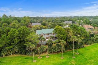 PP600: 600 Piping Plover - 8