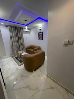 Platinum Mini flat - 9