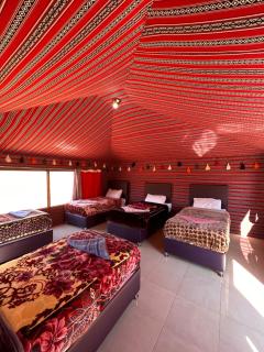 Star Walk Camp & Tours - 2