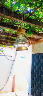 Mini Garden kitnet - 5