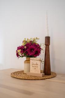 Fachwerkwohnung am Allerufer und Jakobsweg - 8