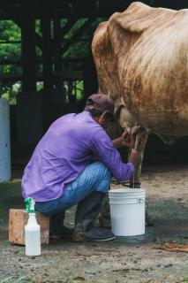 Musasana Wellness Farm - 7