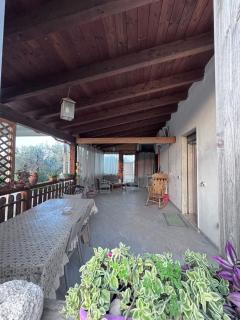 Angolo della natura - 9