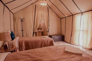 Sahara Luxury Camp - 4