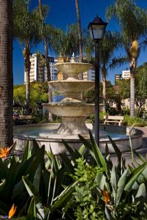 Large Elegant Condo with Views near the Grove - 7